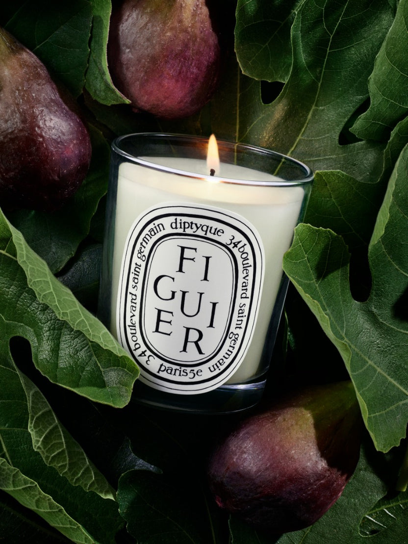 Figuier (Fig Tree) - Scented Candle