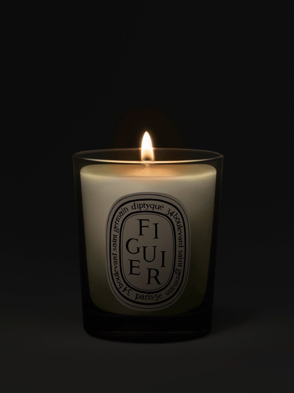 Figuier (Fig Tree) - Scented Candle